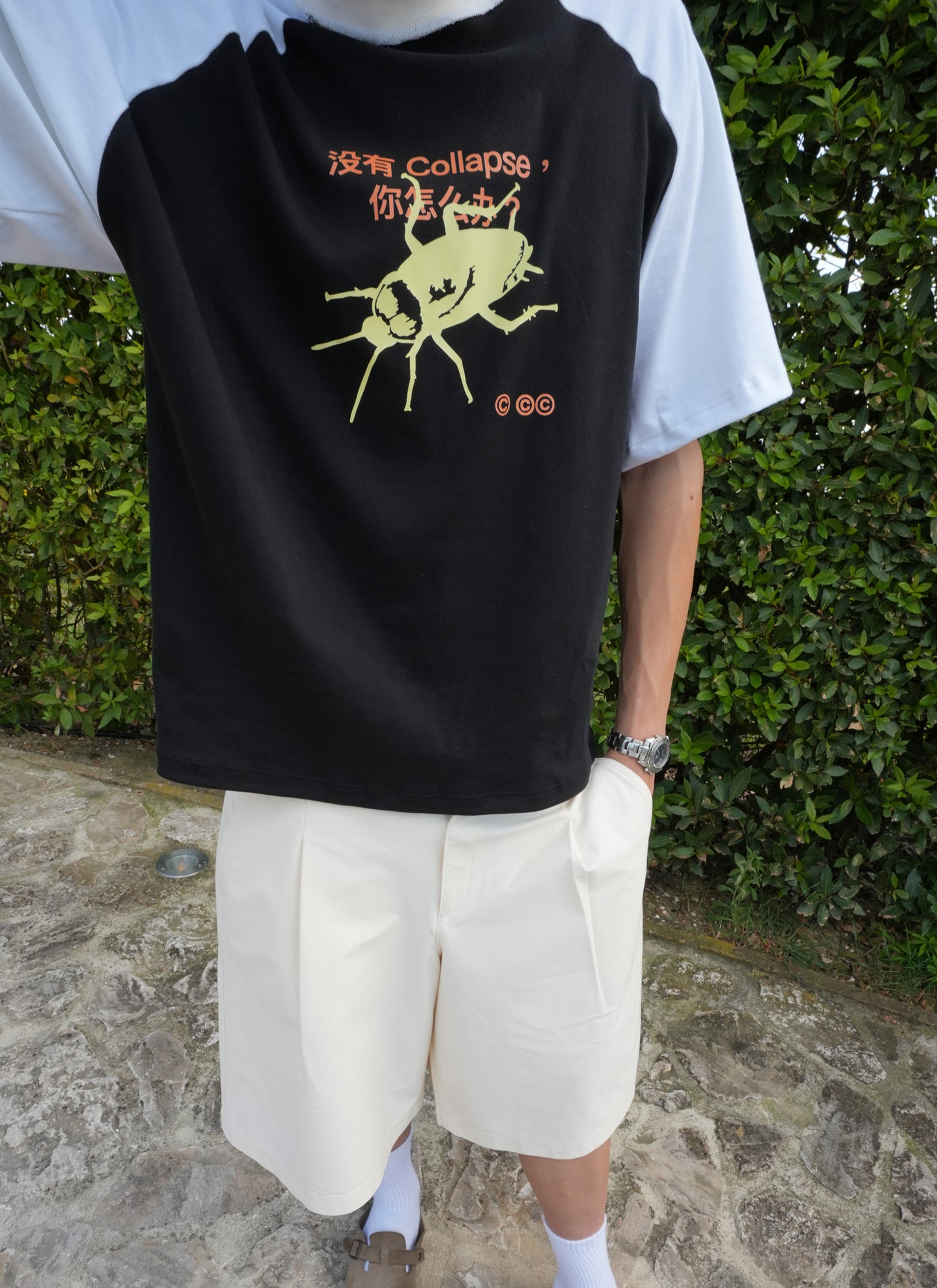 ROACH_003
